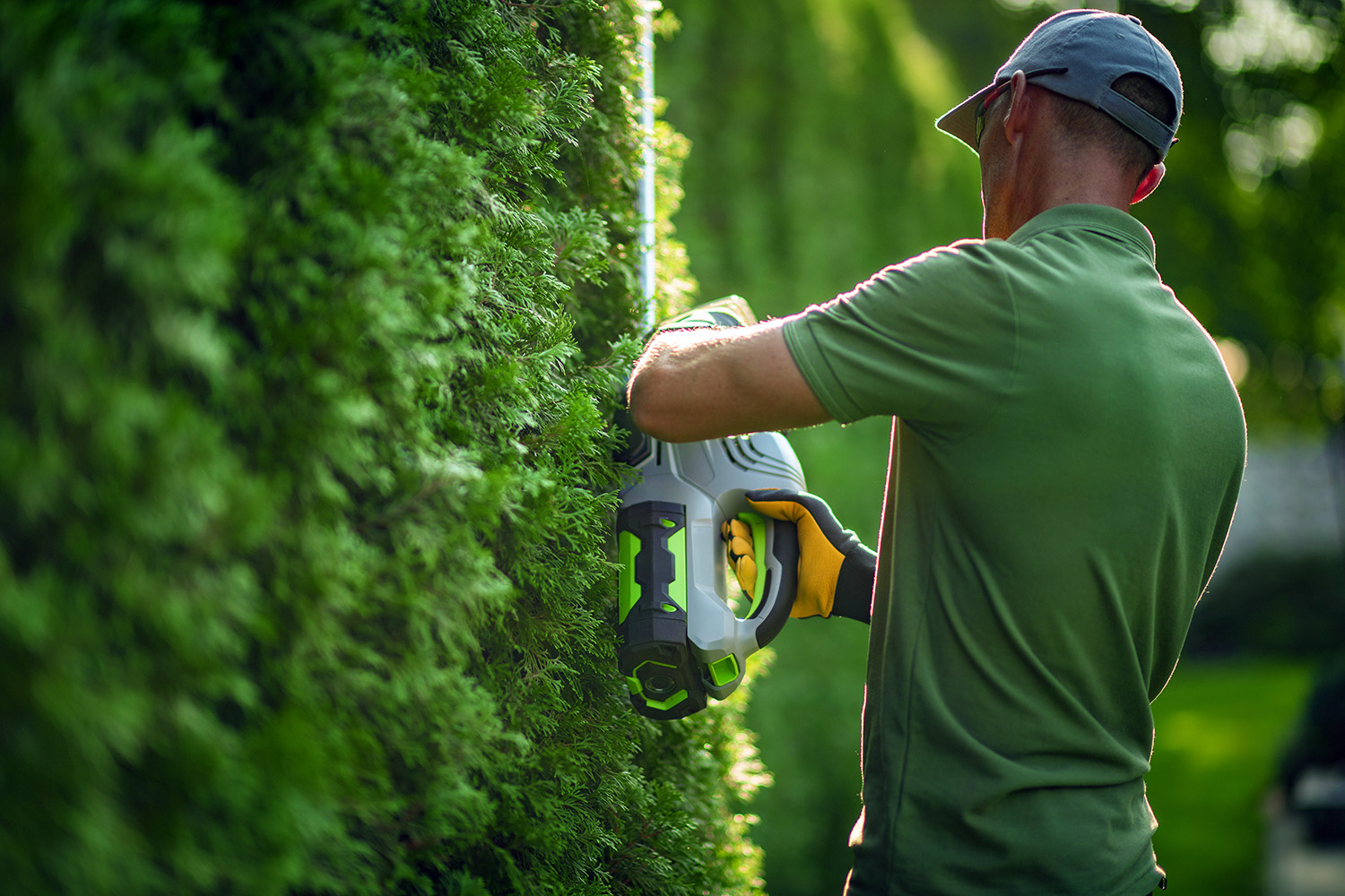 Hedge Trimming Service
