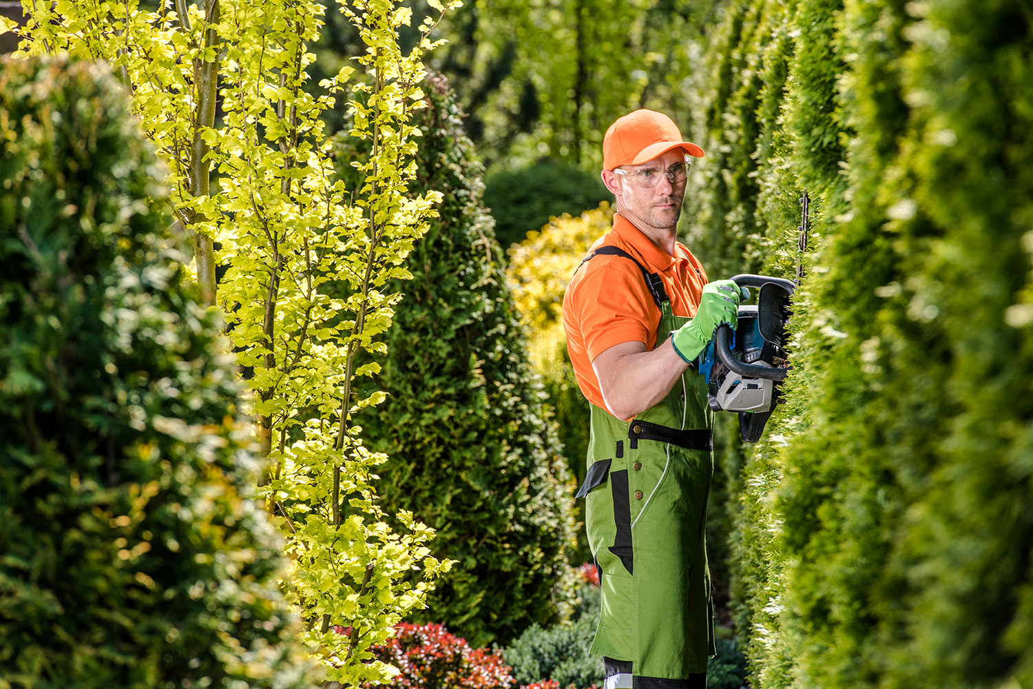 Hedging Service in Oakville