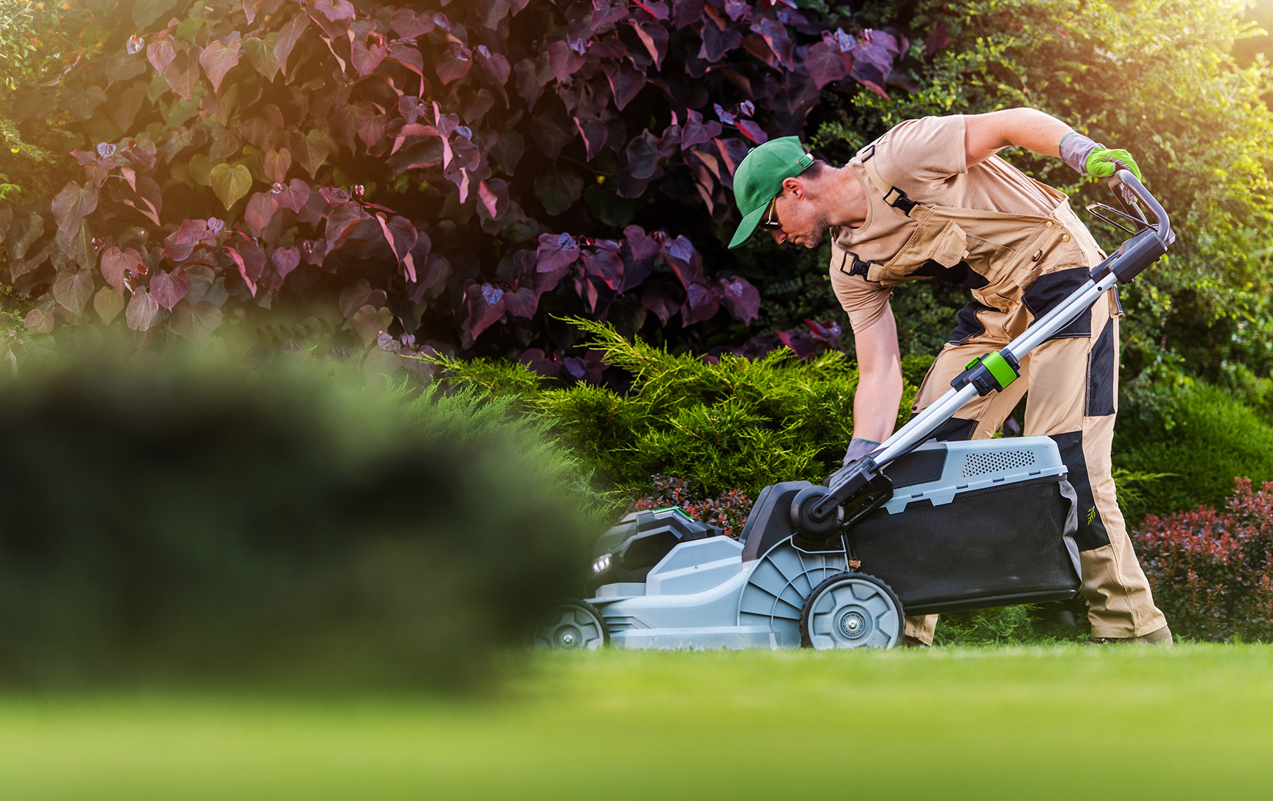 Lawn Care Services in Oakville ON