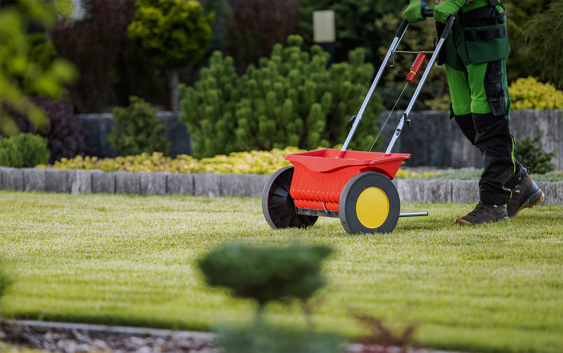Lawn Overseeding Service in Oakville
