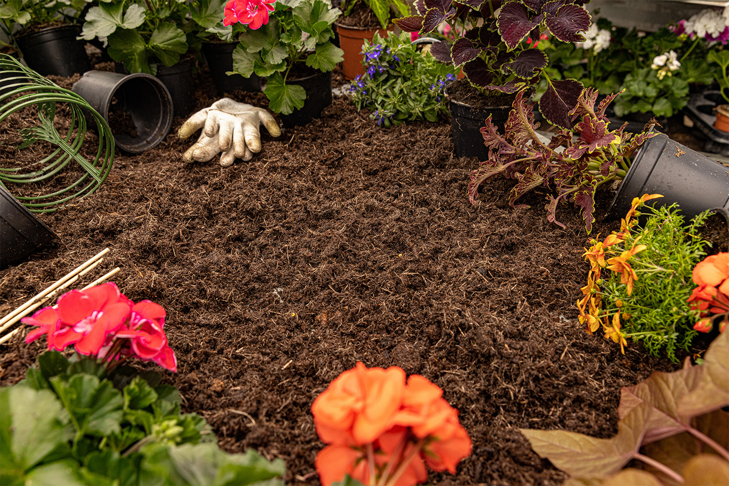 Mulch Installation Service in Oakville