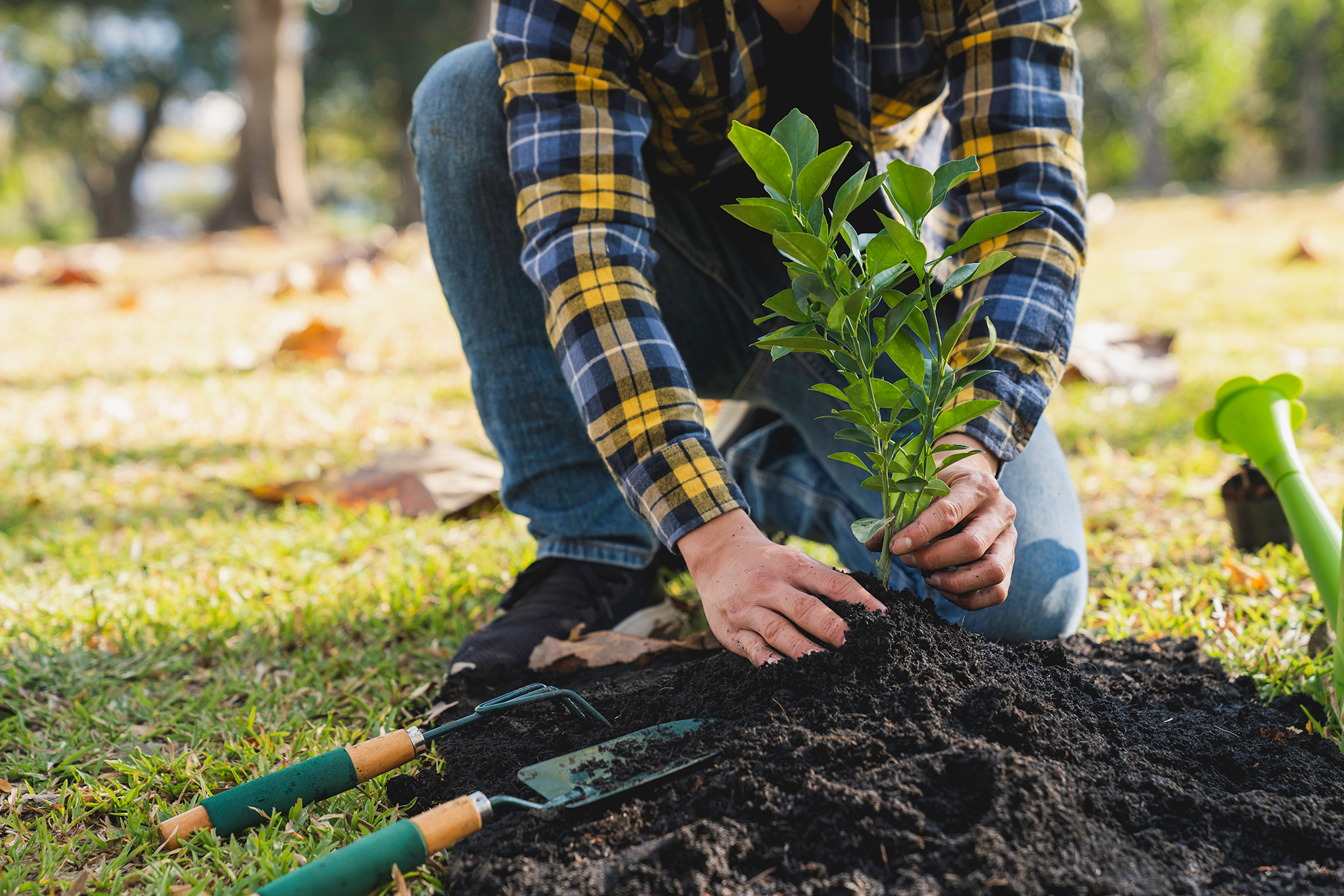 Planting Services in Oakville