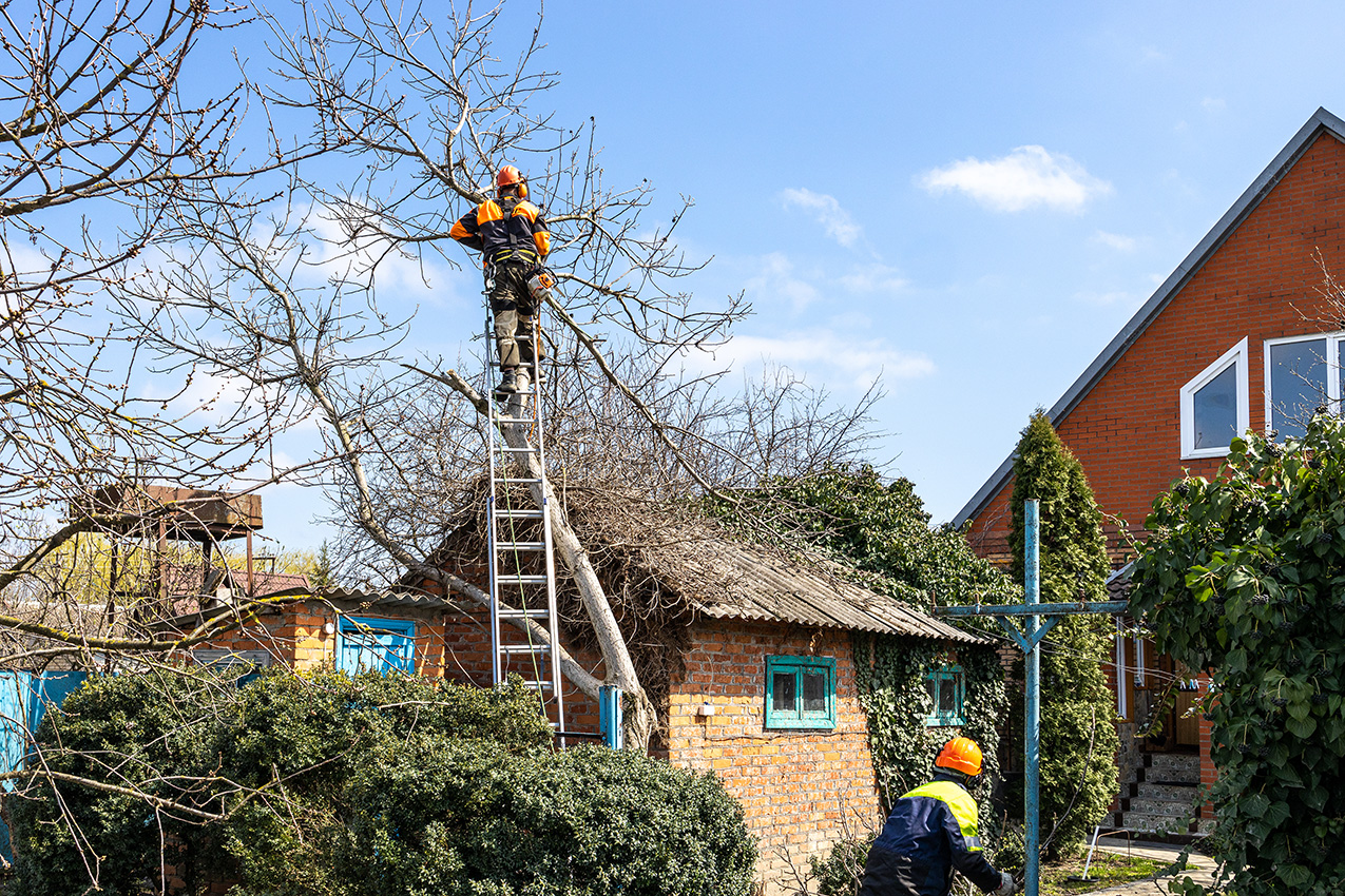 Property Cleanup Services in Oakville ON